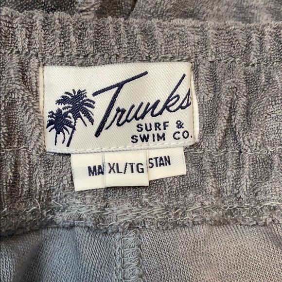 NWT TRUNKS SURF & SWIM Jacob terry shorts grey XL - Picture 7 of 8